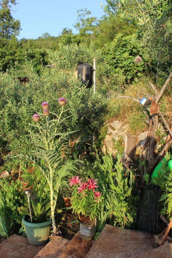 TulisevicaMary'S Garden别墅 外观 照片