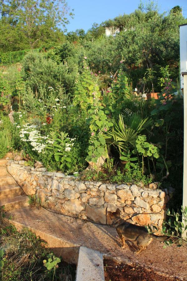 TulisevicaMary'S Garden别墅 外观 照片